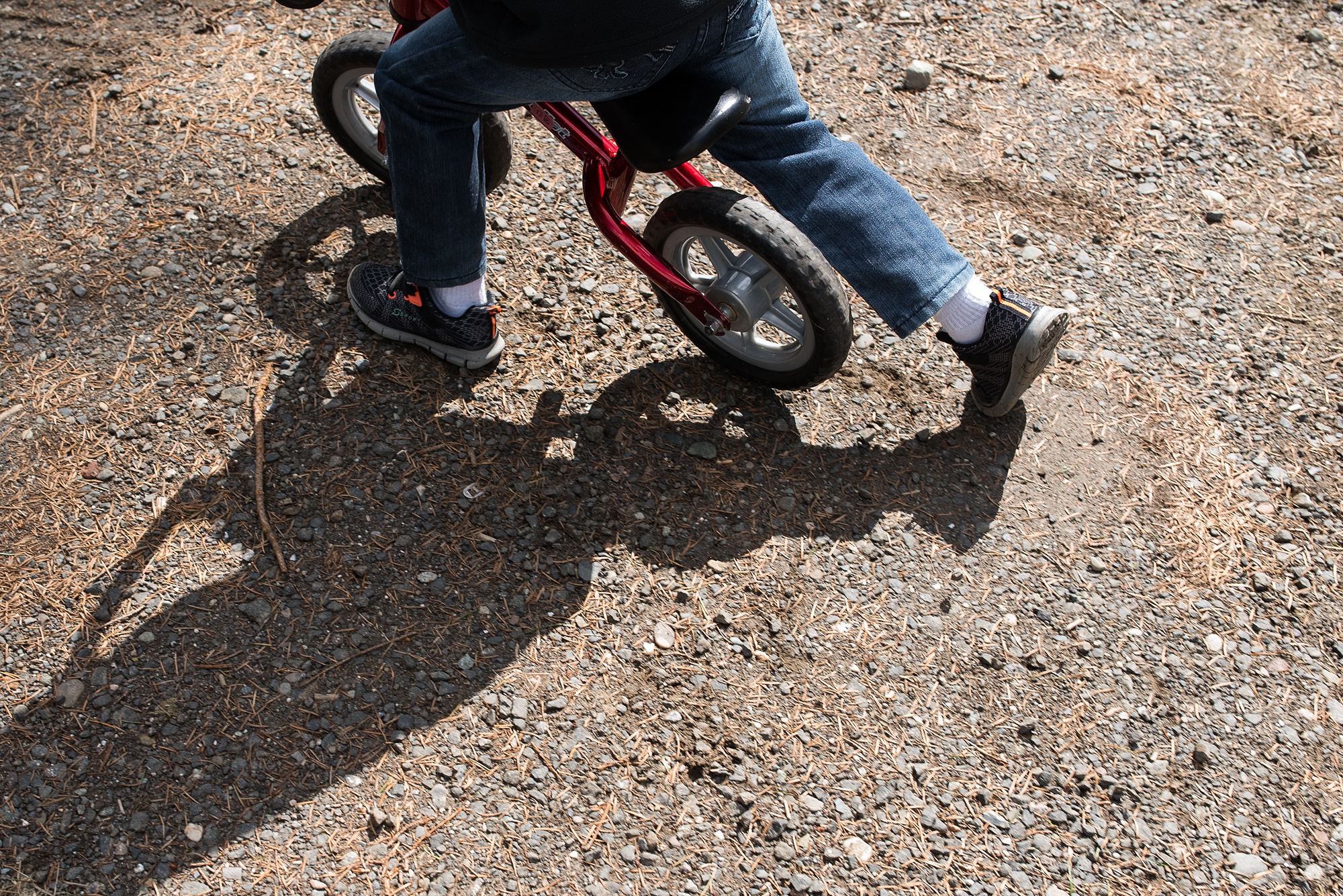 child on balance bike with shadow - military family photography