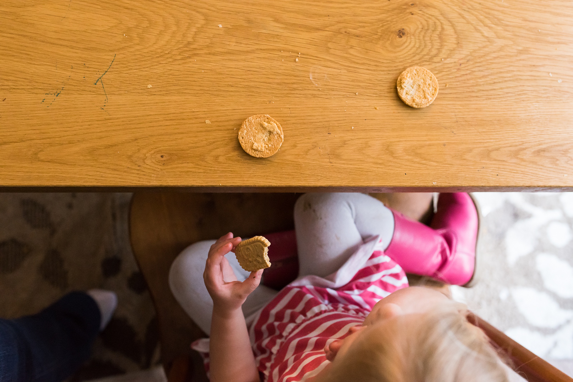 overhead view of girl eating cookies - military family photography